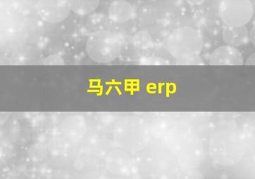 马六甲 erp